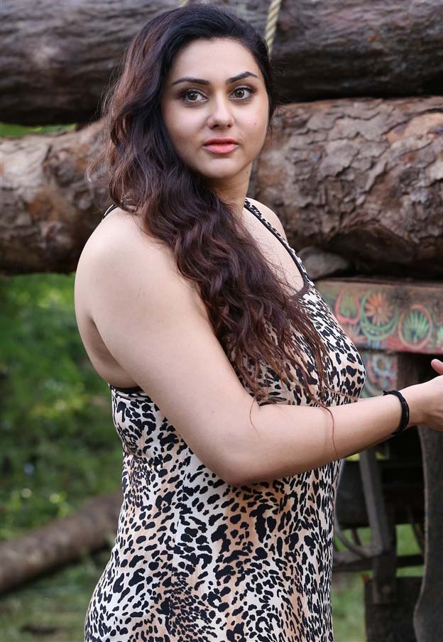 Namitha Actress Age Height Net Worth And Bio Celebrityhow